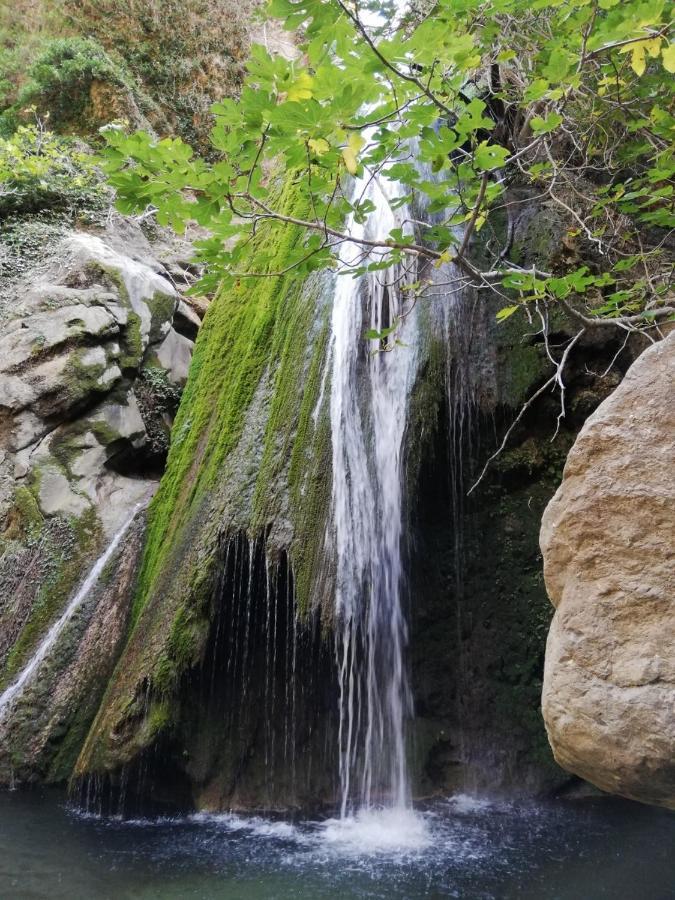 Kreta Villa Anastasia Sitia  Bagian luar foto